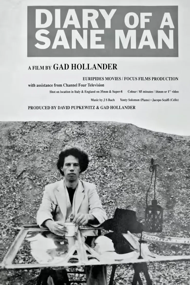 Diary of a Sane Man poster background