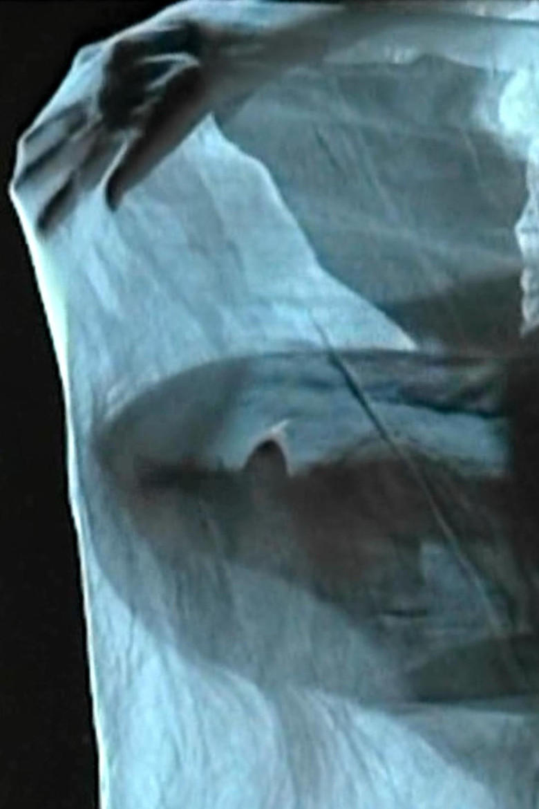 The Silence of Love poster background