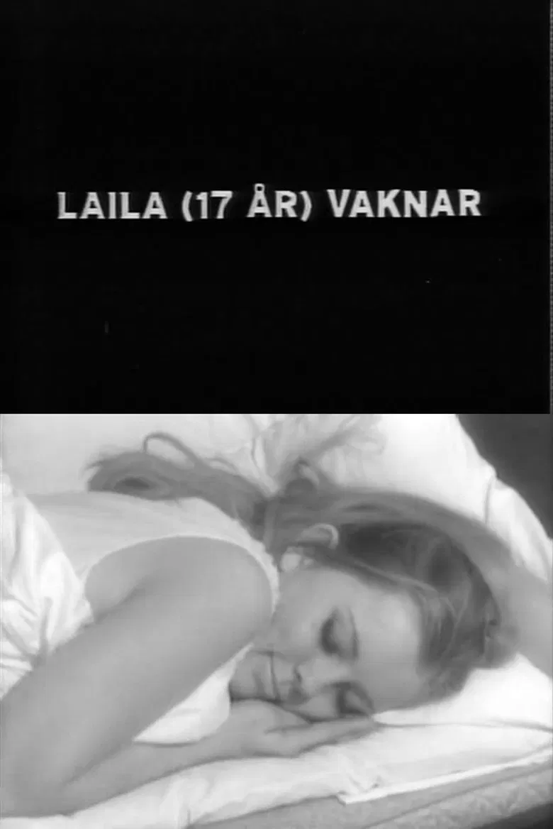 Laila Wakes Up poster background
