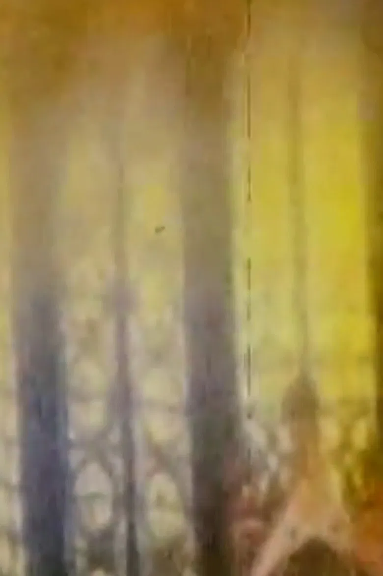 Théocordis poster background