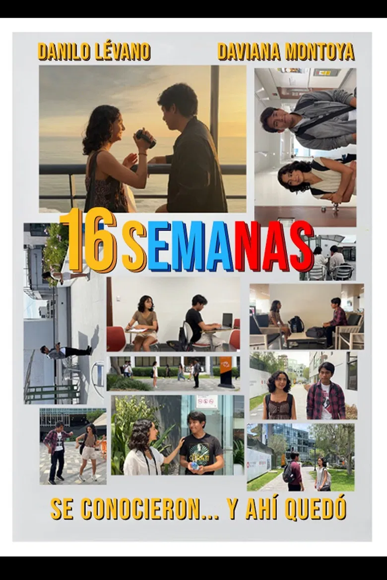 16 semanas poster background