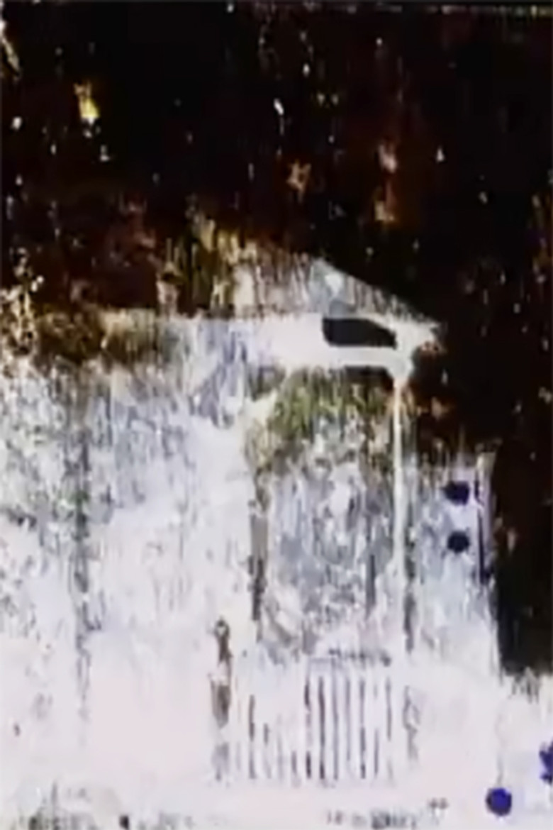 The Homestead Act poster background