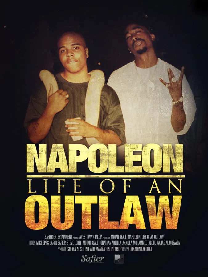 Napoleon: Life of an Outlaw poster background
