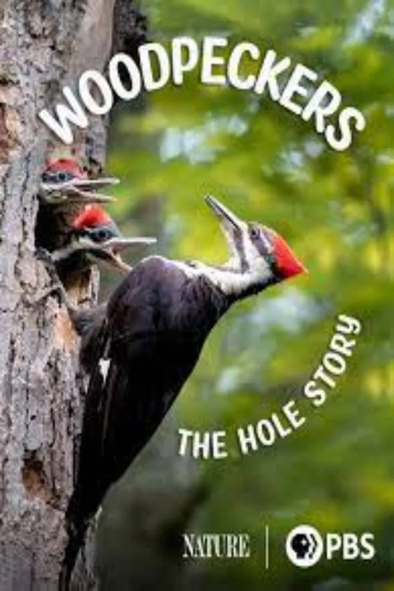 Woodpeckers: The Hole Story poster background