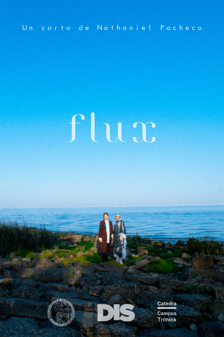 Flux poster background
