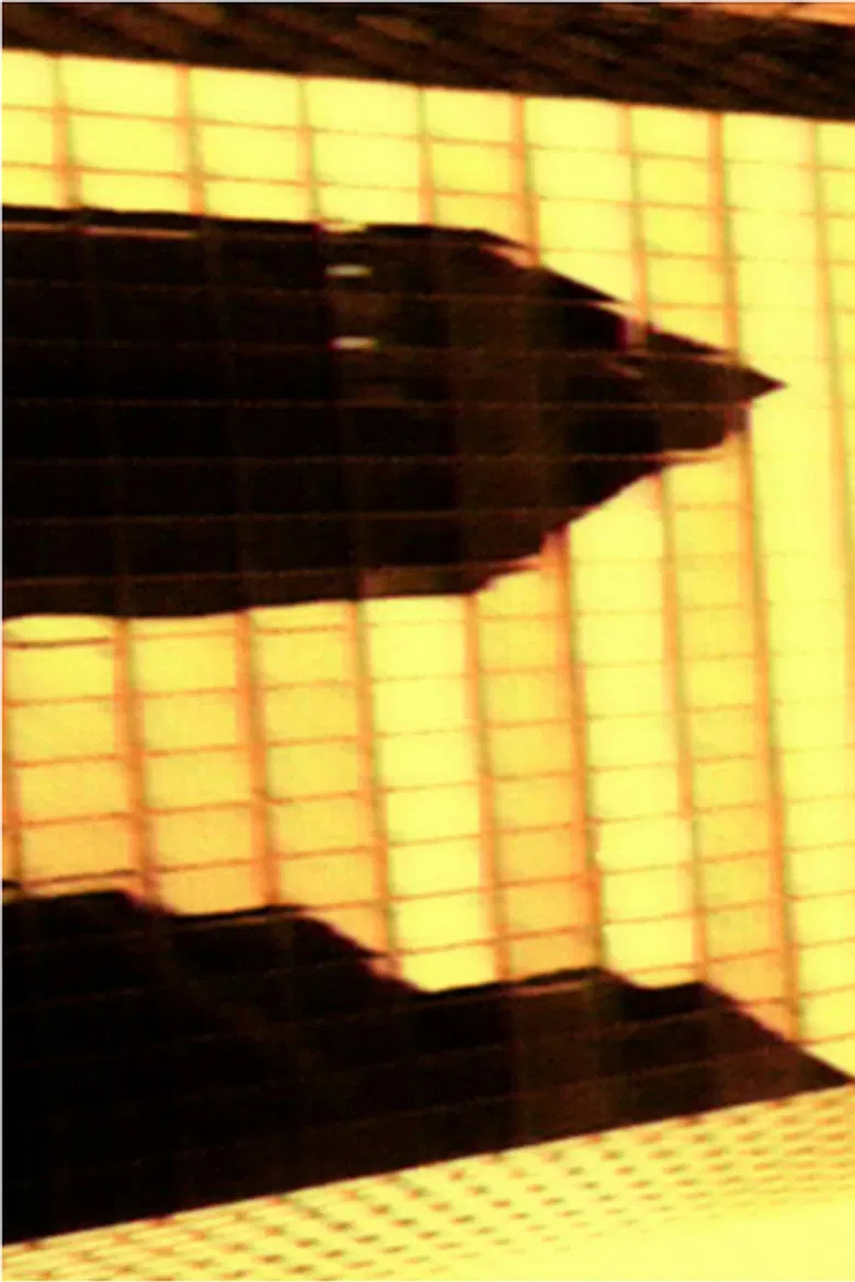 Commission Stratégie à 3 Ans poster background