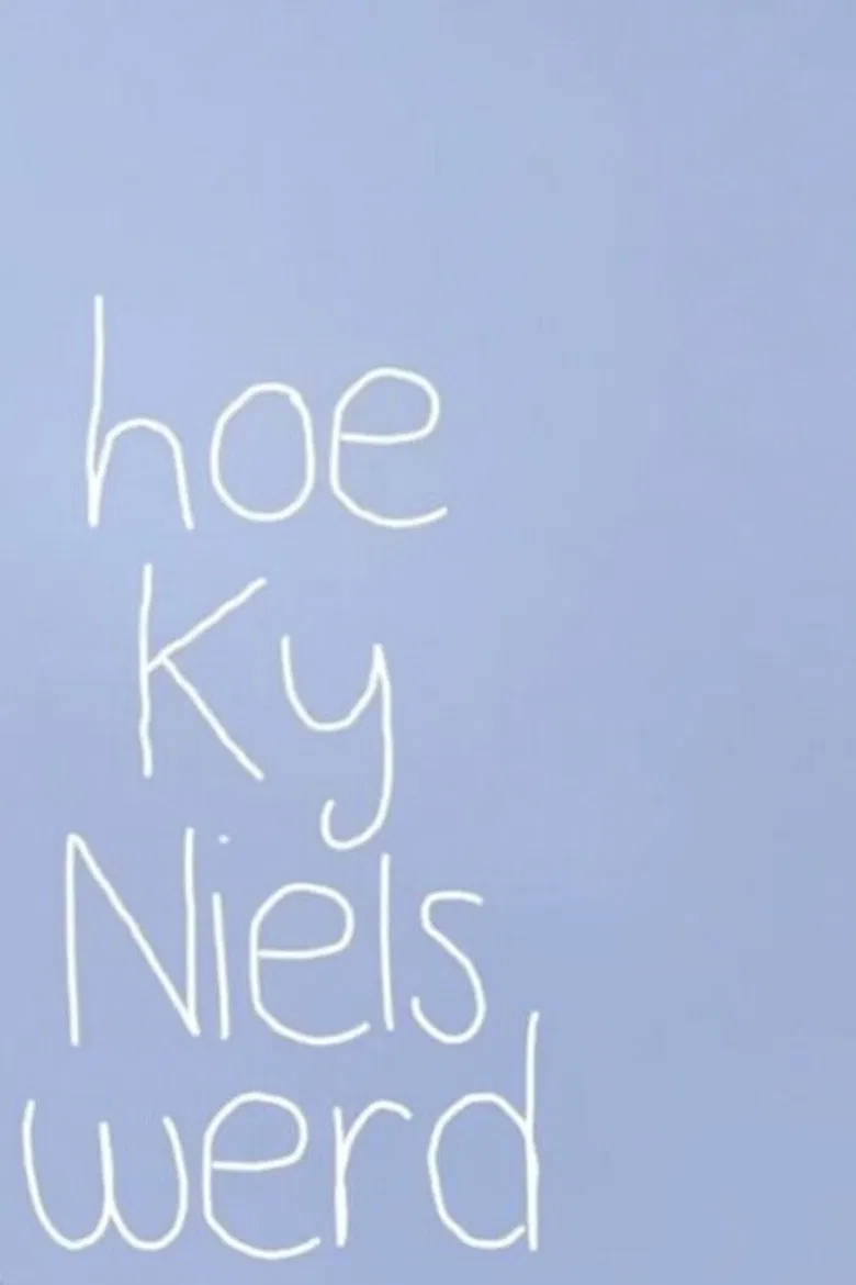 Hoe Ky Niels werd poster background
