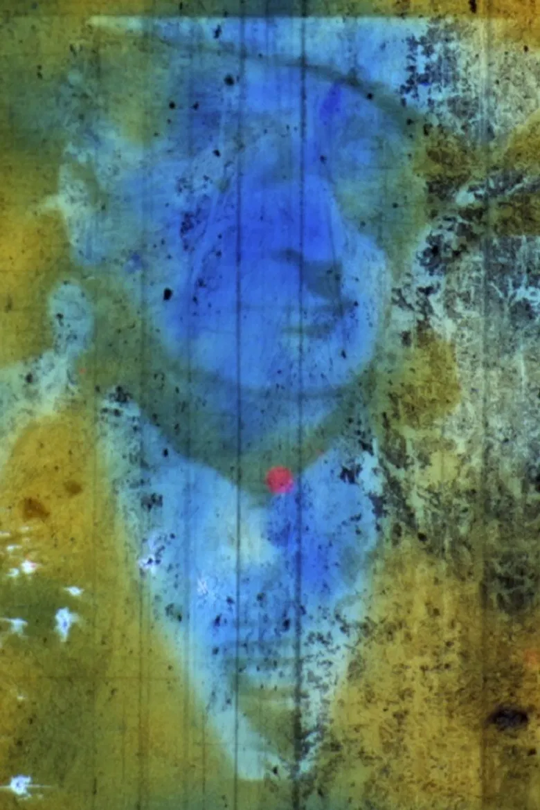 Weingarten d'Linse poster background