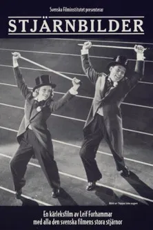 Stjärnbilder poster background