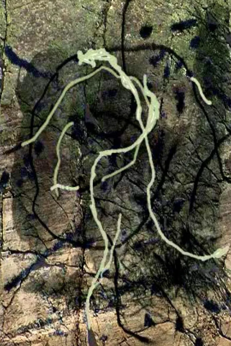 Thunder river (Places and Monuments 4) poster background