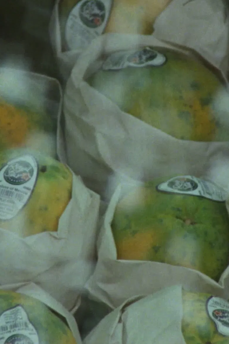 Global Fruit poster background