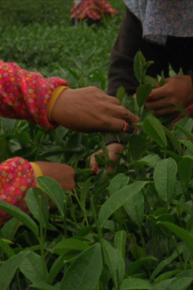 Sea of Clouds poster background