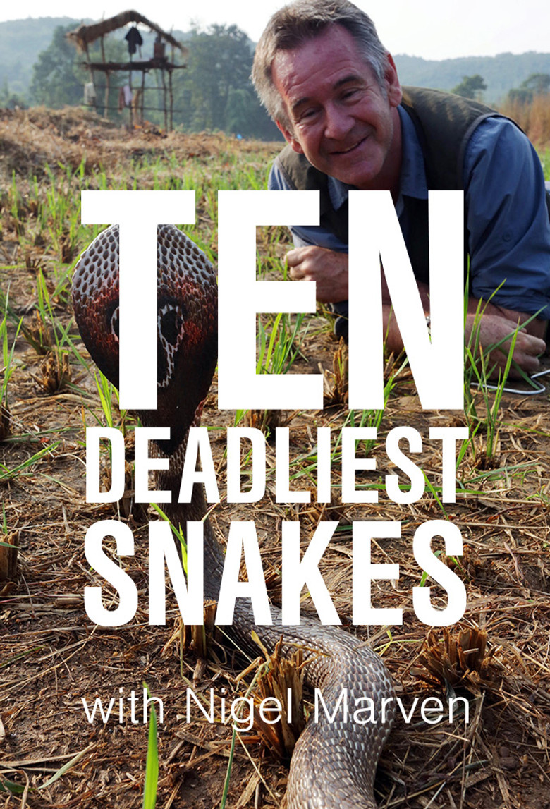 Ten Deadliest Snakes with Nigel Marven poster background