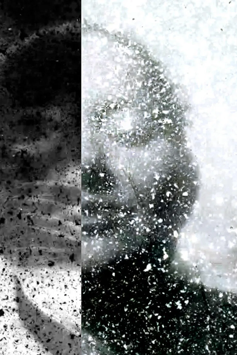 A Venture into Vegan Filmmaking poster background