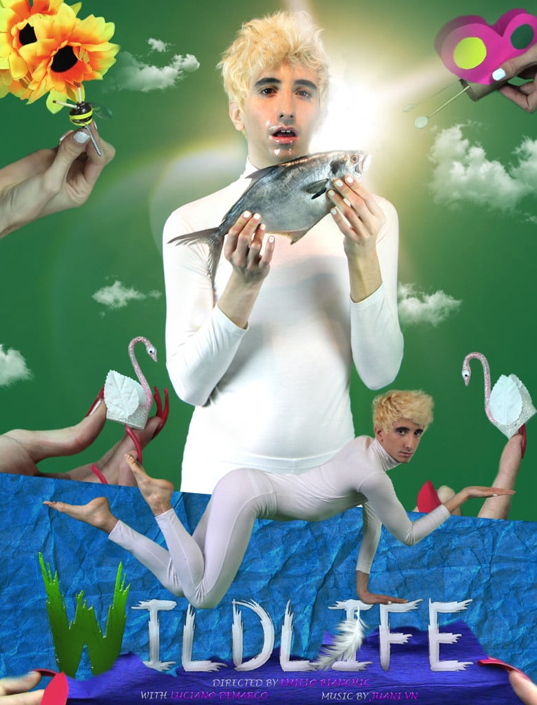 Wildlife poster background