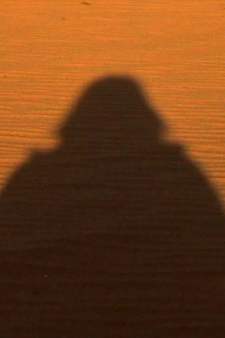 Birgit Hein poster background