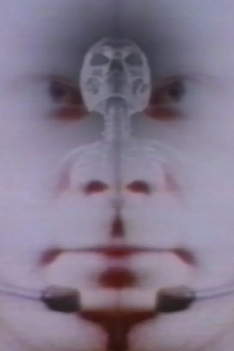 Twice the Universe poster background