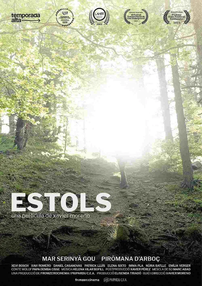 Estols poster background
