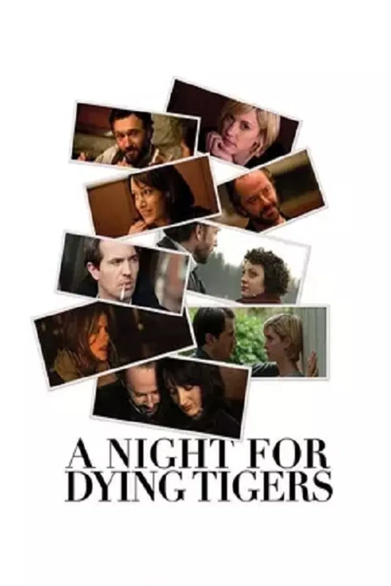 A Night for Dying Tigers poster background