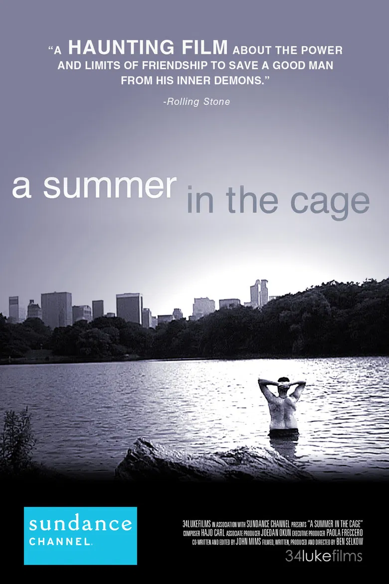 A Summer in the Cage poster background