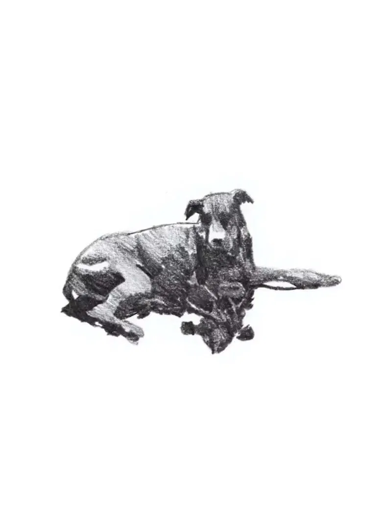 my first skate video poster background