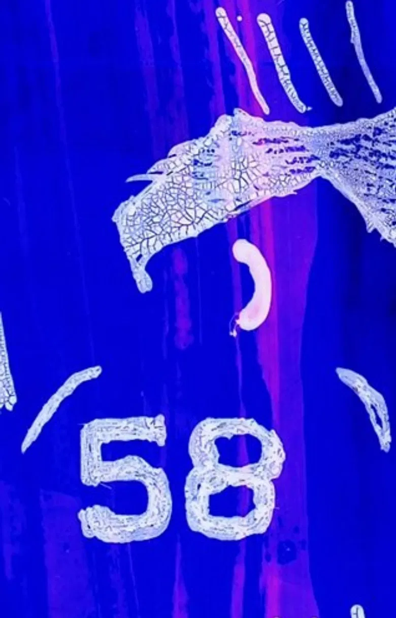 Spank Shot poster background