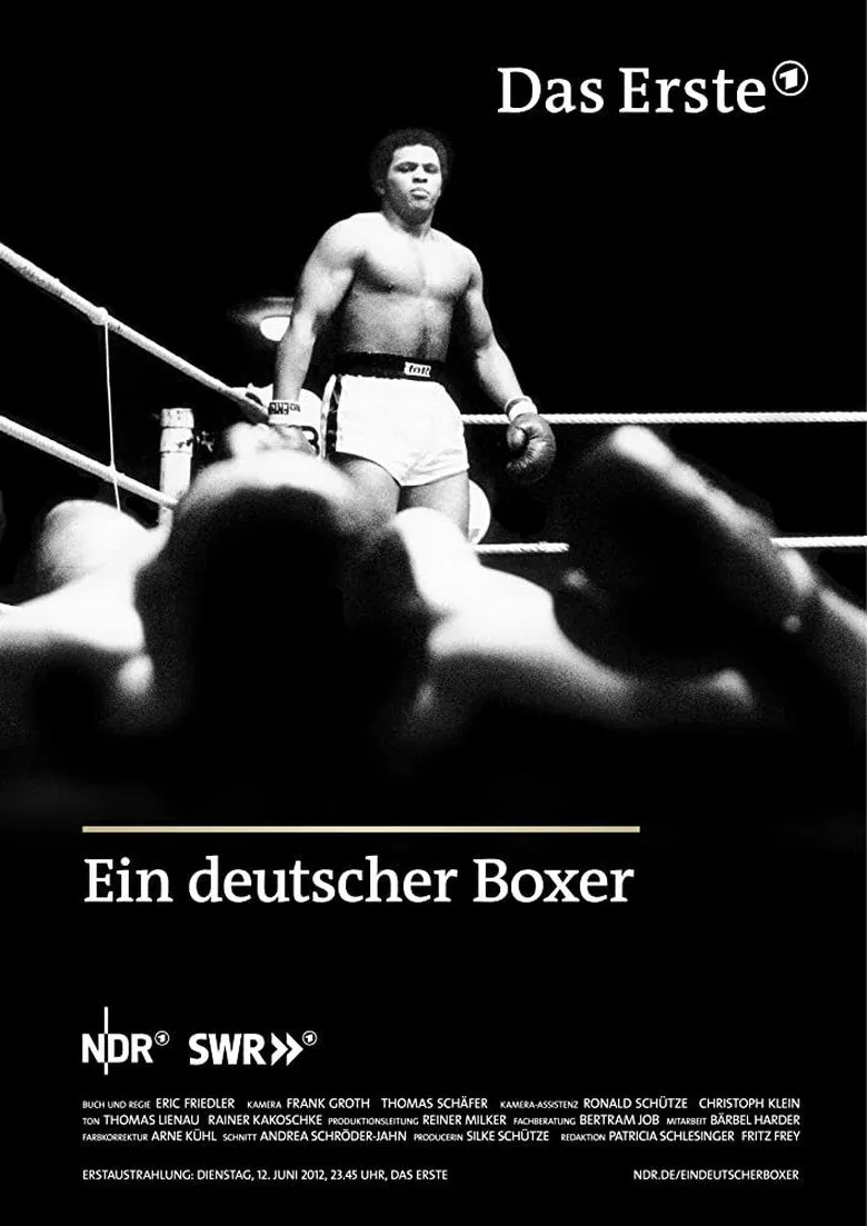 Ein deutscher Boxer poster background
