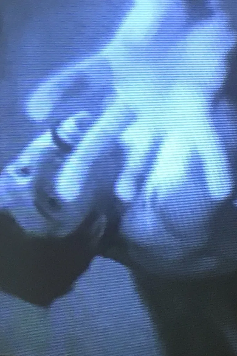 The Florence Tape poster background