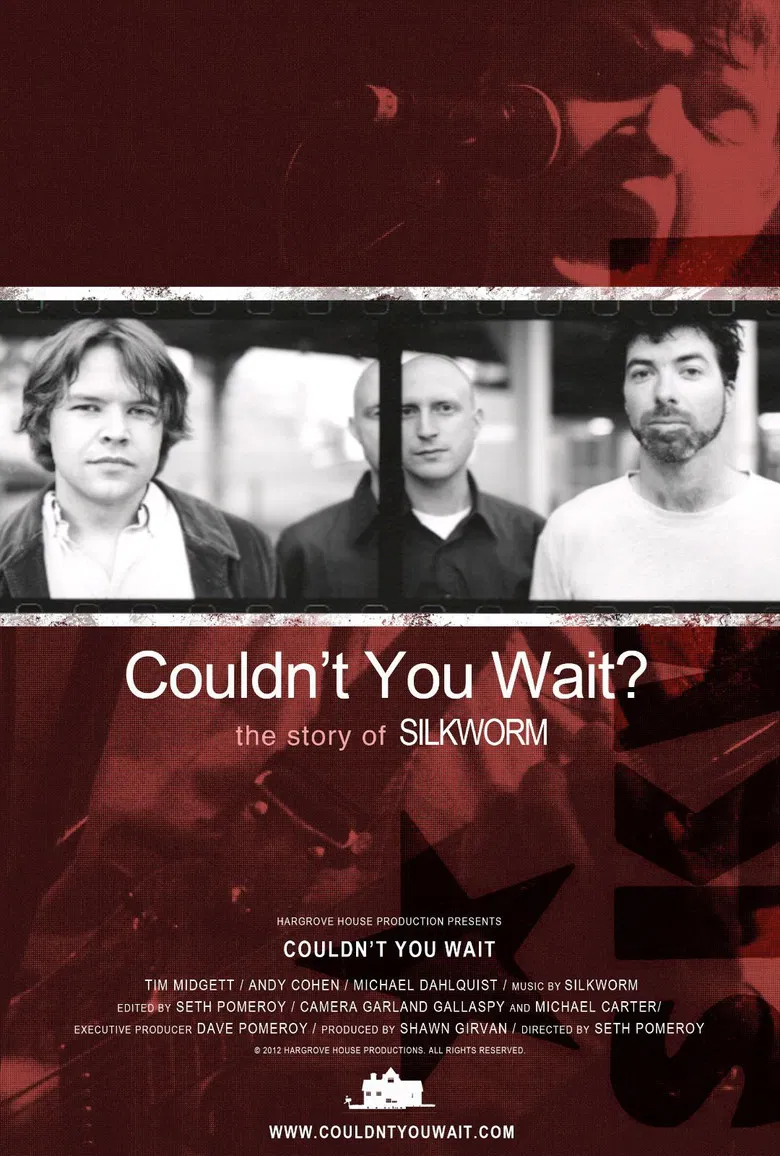 Couldn't You Wait? poster background