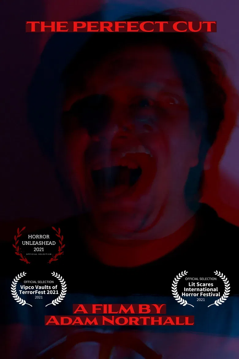 The Perfect Cut poster background