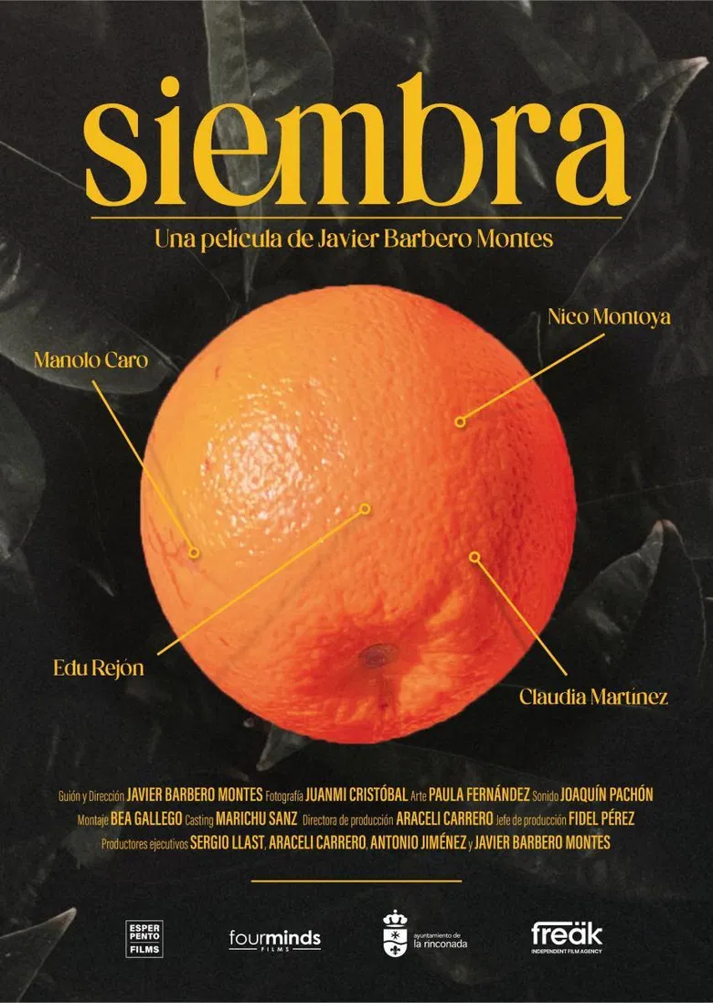 Siembra (c) poster background
