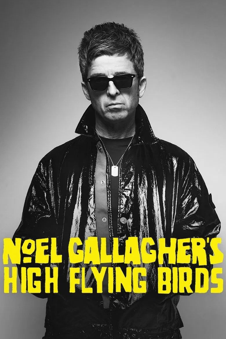 Noel Gallagher's High Flying Birds en concert au Zénith de Paris poster background