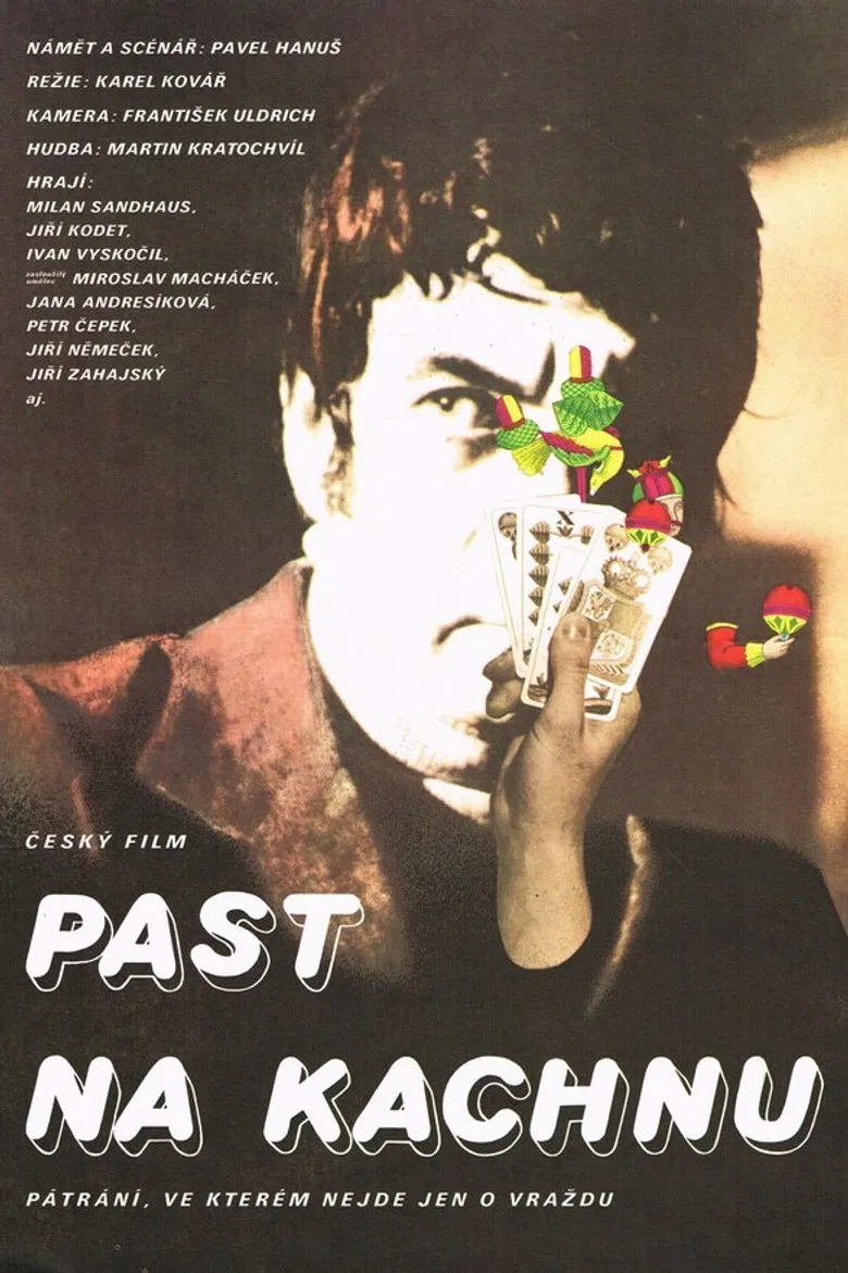 Past na kachnu poster background