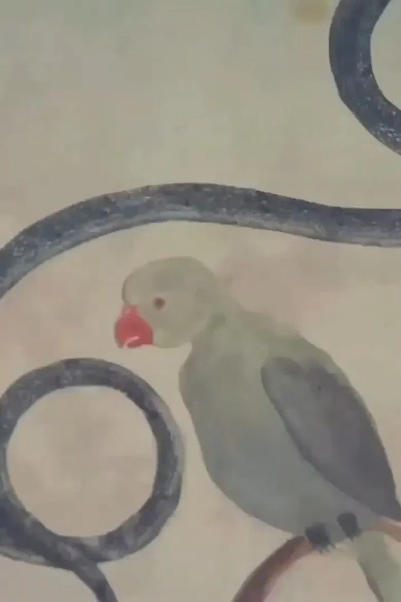 The Wonders of Nature poster background