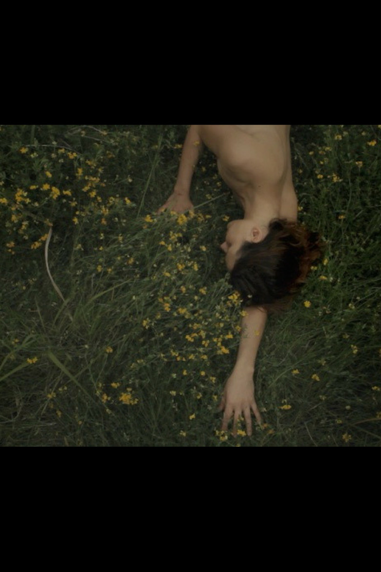 Trace poster background