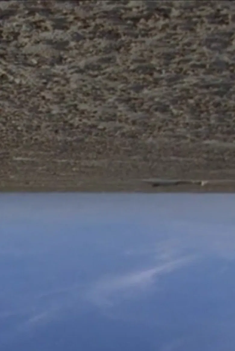 Proximity poster background