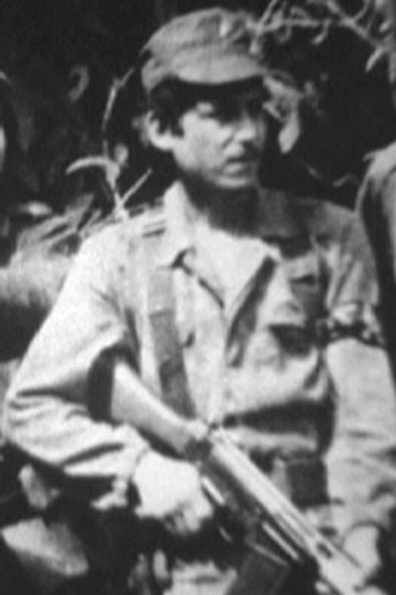 FALN poster background