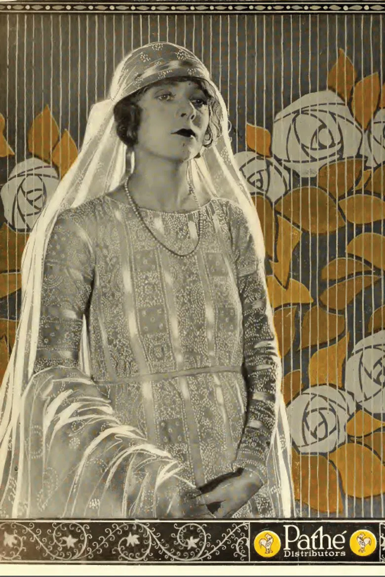 A Woman of Pleasure poster background