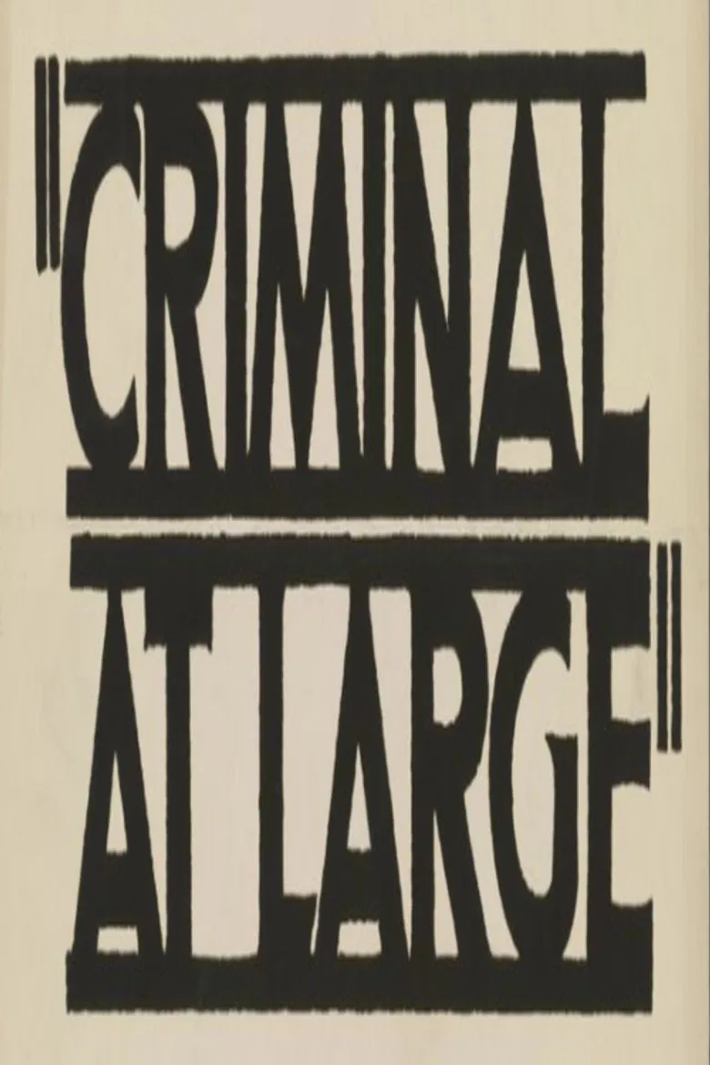 A Criminal at Large poster background