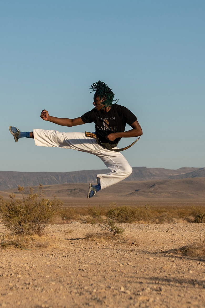 Golden Age Karate poster background