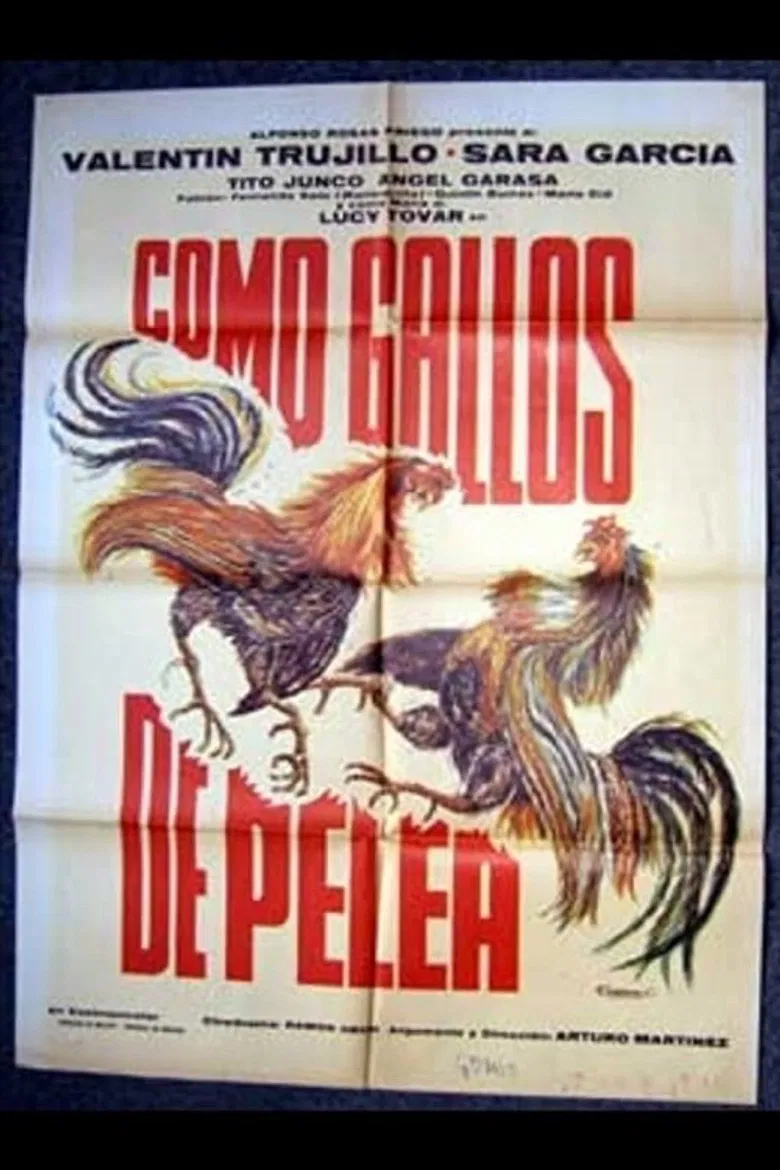 Como gallos de pelea poster background