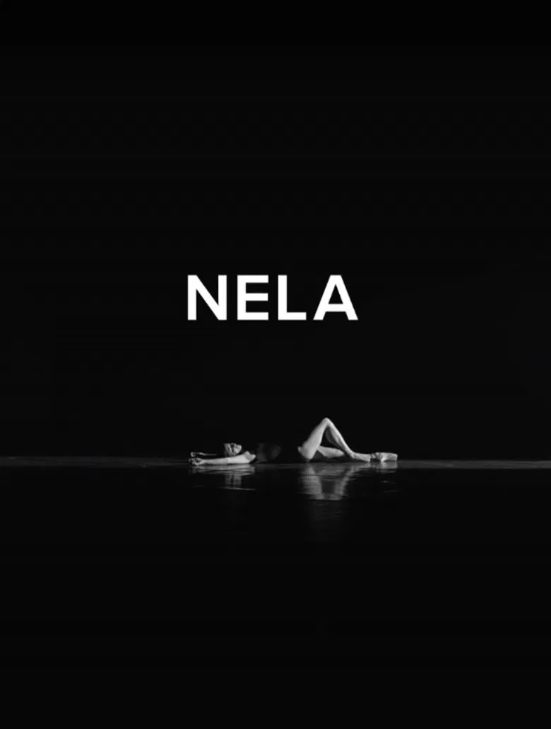 NELA poster background