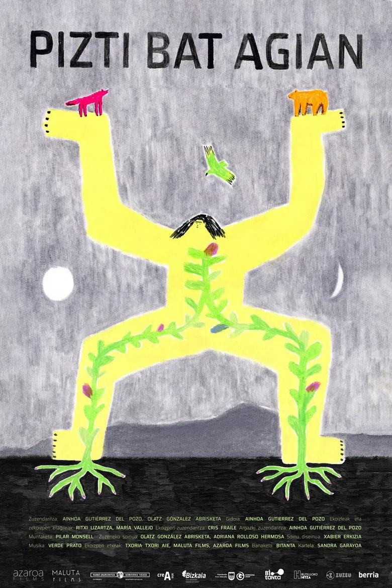 Somewhat Wild poster background