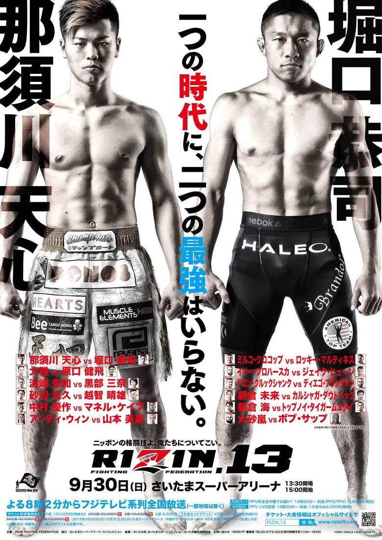RIZIN 13 poster background