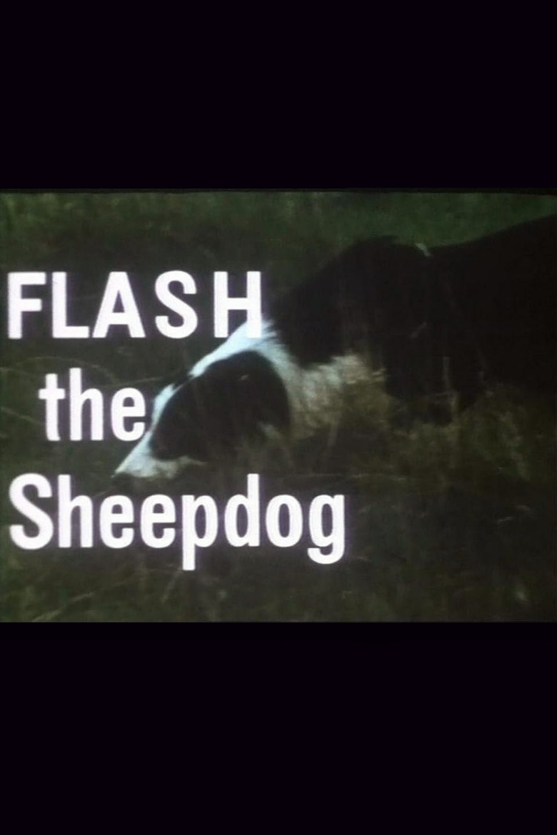 Flash the Sheepdog poster background