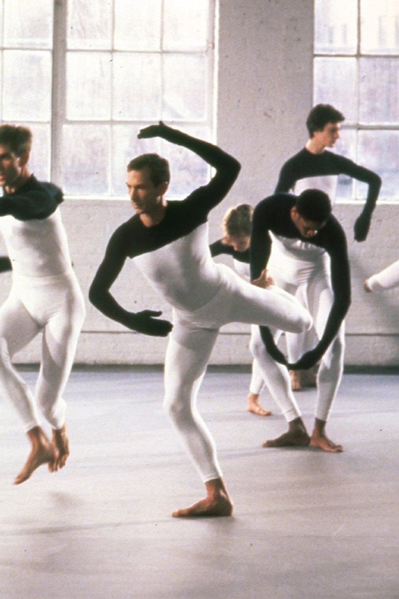 Beach Birds for Camera poster background