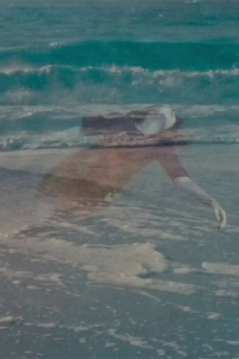 Alaska poster background