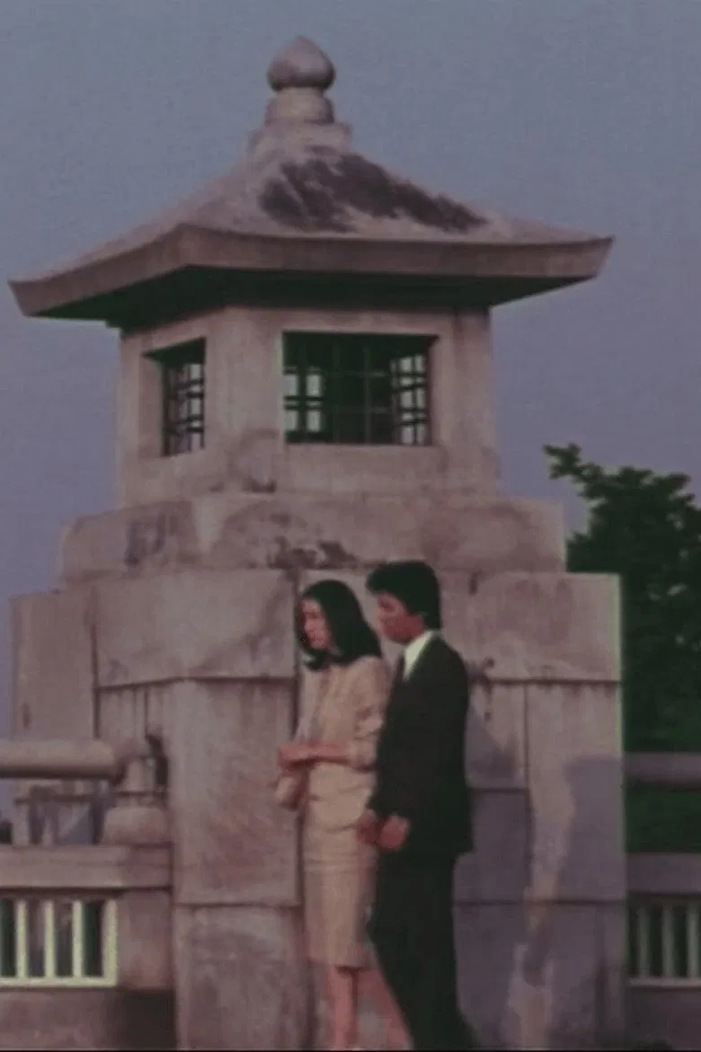 Female Doctor in the Surgical Ward poster background