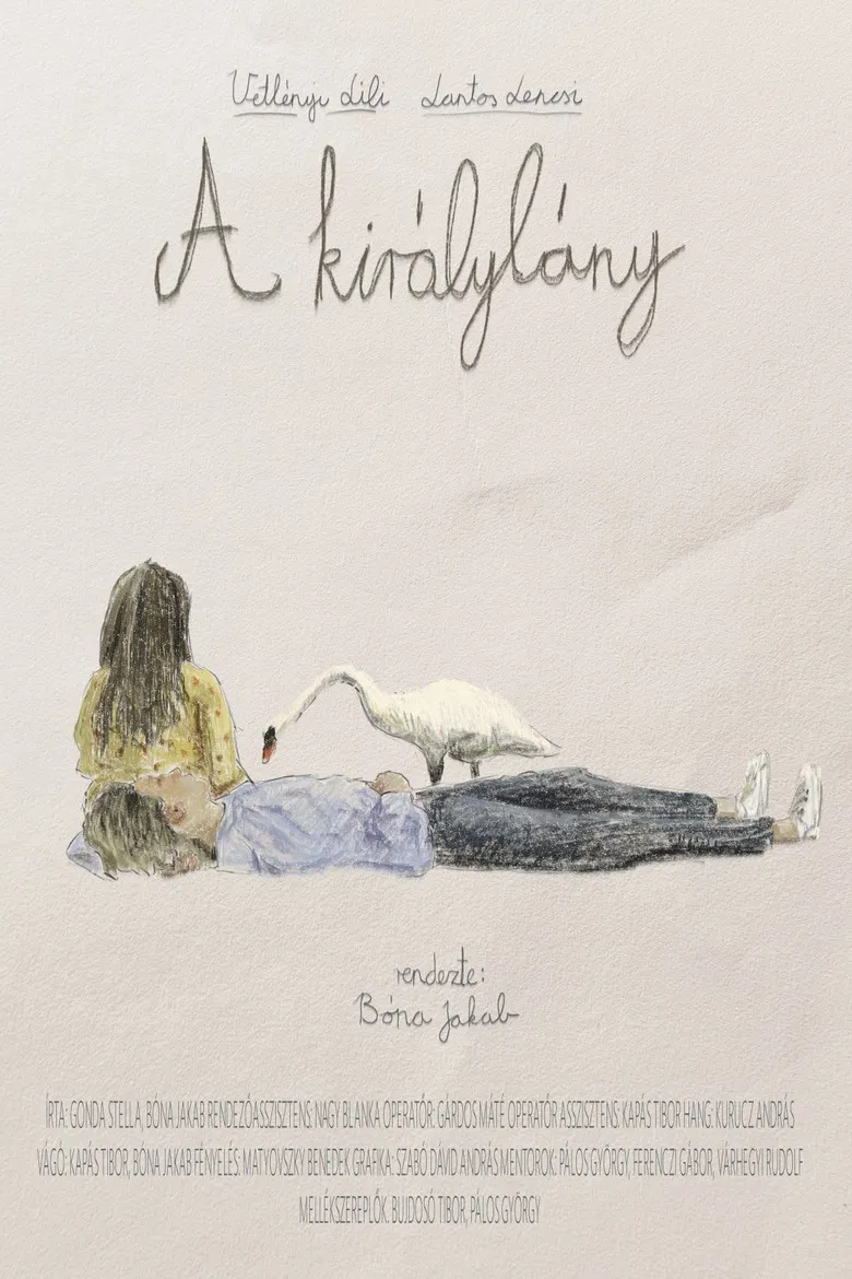 The Princess poster background