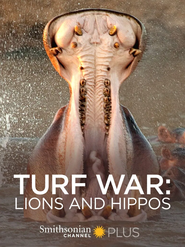 Turf War: Lions and Hippos poster background